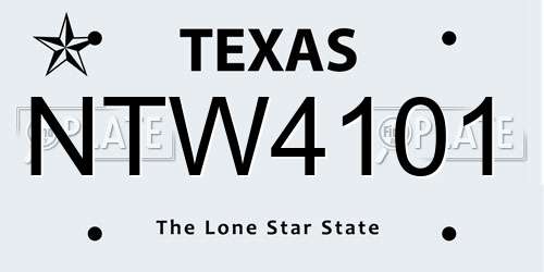NTW4101 Texas License Plate