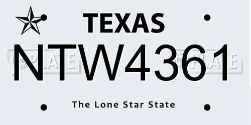 NTW4361 Texas License Plate