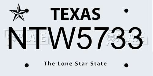 NTW5733 Texas License Plate