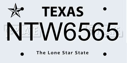 NTW6565 Texas License Plate