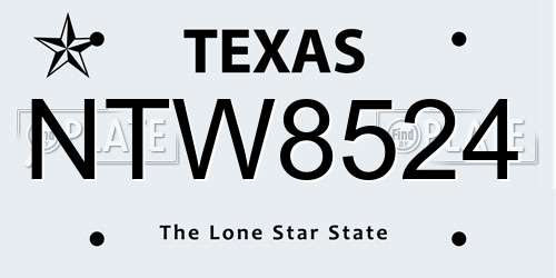 NTW8524 Texas License Plate