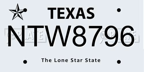 NTW8796 Texas License Plate