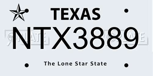 NTX3889 Texas License Plate