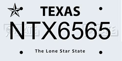 NTX6565 Texas License Plate