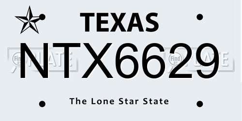 NTX6629 Texas License Plate