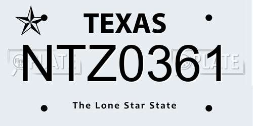 NTZ0361 Texas License Plate