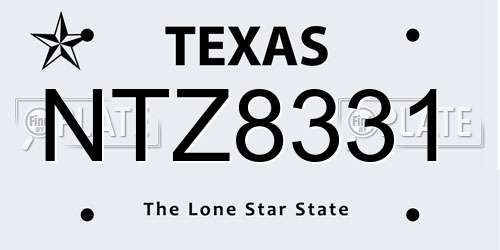 NTZ8331 Texas License Plate