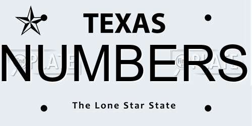 NUMBERS Texas License Plate