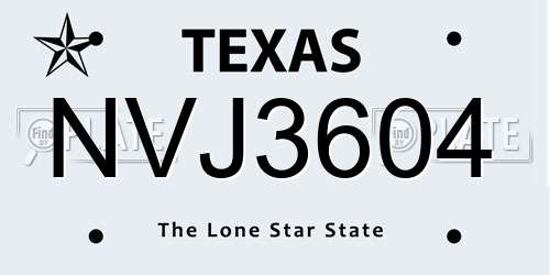 NVJ3604 Texas License Plate