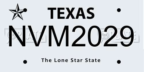 NVM2029 Texas License Plate