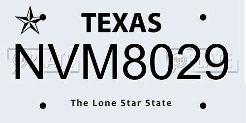 NVM8029 Texas License Plate