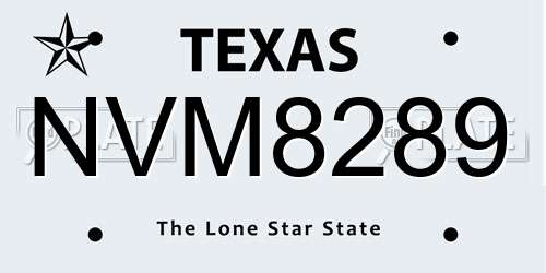 NVM8289 Texas License Plate