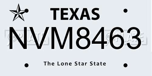 NVM8463 Texas License Plate