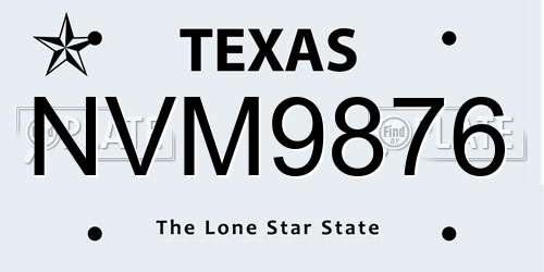 NVM9876 Texas License Plate