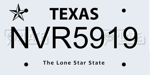 NVR5919 Texas License Plate