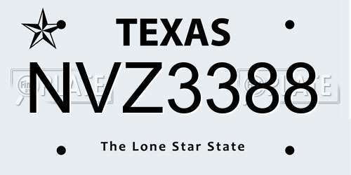 NVZ3388 Texas License Plate