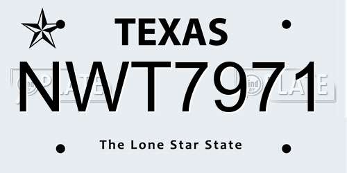 NWT7971 Texas License Plate