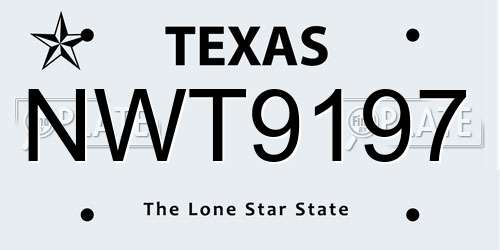NWT9197 Texas License Plate