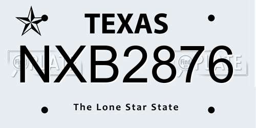 NXB2876 Texas License Plate