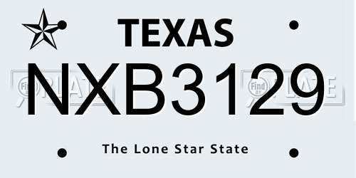 NXB3129 Texas License Plate