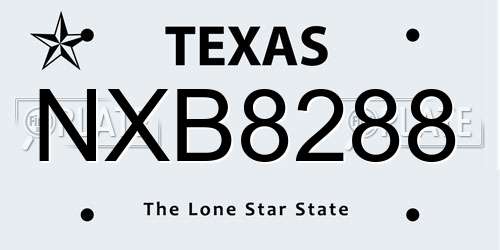 NXB8288 Texas License Plate