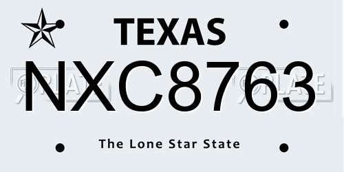 NXC8763 Texas License Plate