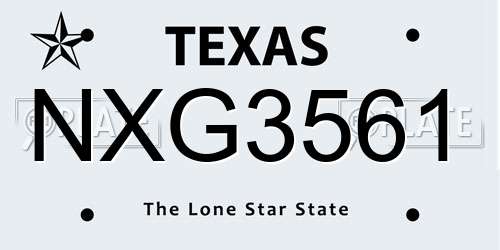 NXG3561 Texas License Plate