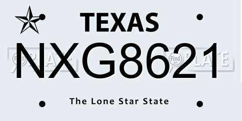 NXG8621 Texas License Plate