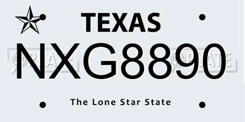NXG8890 Texas License Plate