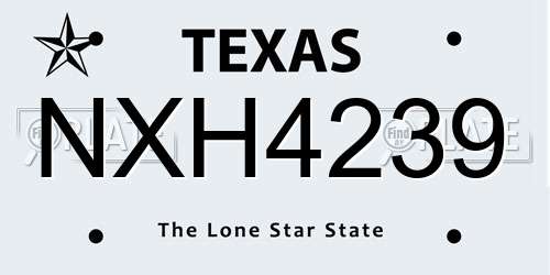 NXH4239 Texas License Plate