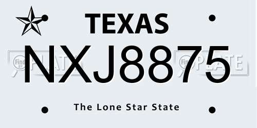 NXJ8875 Texas License Plate