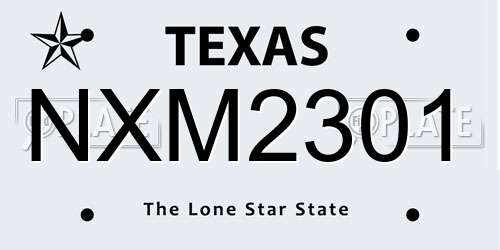 NXM2301 Texas License Plate