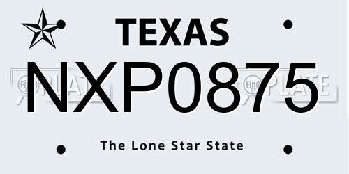 NXP0875 Texas License Plate