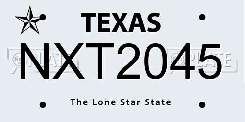 NXT2045 Texas License Plate