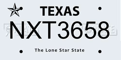NXT3658 Texas License Plate