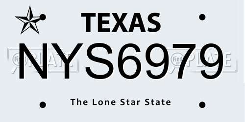 NYS6979 Texas License Plate