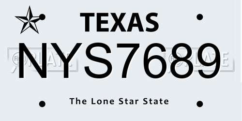 NYS7689 Texas License Plate