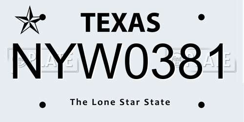 NYW0381 Texas License Plate