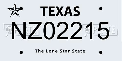 NZ02215 Texas License Plate
