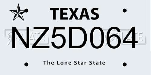 NZ5D064 Texas License Plate