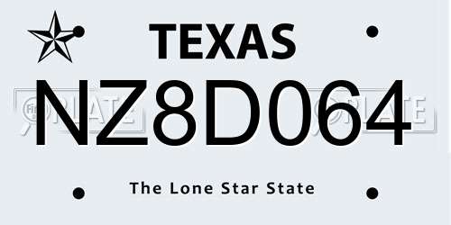 NZ8D064 Texas License Plate