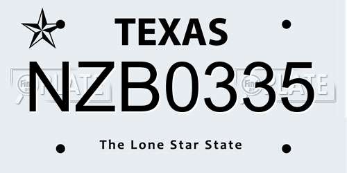 NZB0335 Texas License Plate