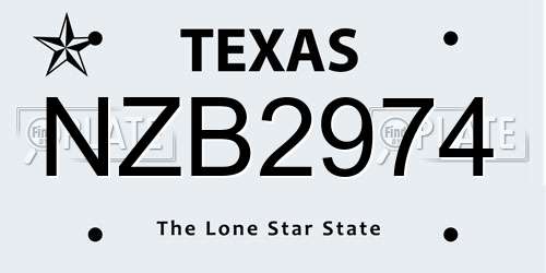 NZB2974 Texas License Plate
