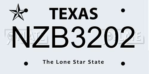 NZB3202 Texas License Plate
