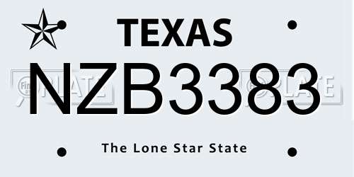 NZB3383 Texas License Plate