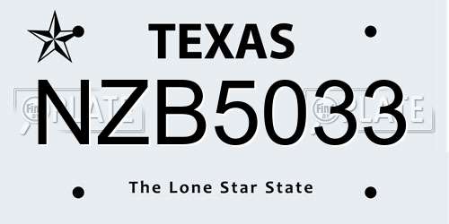 NZB5033 Texas License Plate