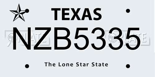 NZB5335 Texas License Plate