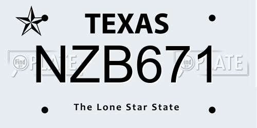 NZB671 Texas License Plate