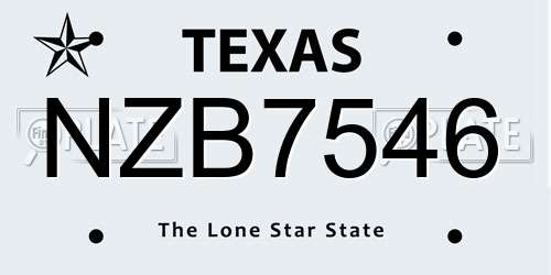 NZB7546 Texas License Plate