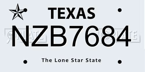 NZB7684 Texas License Plate